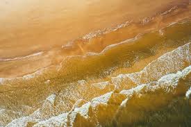 golden coastline